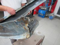 /album/renault-r10/a12-jpg/